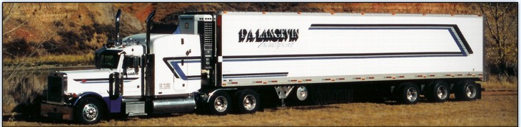 Langevin Transport